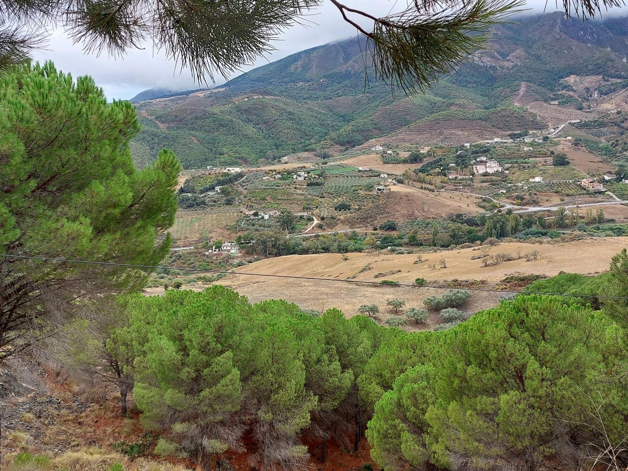 El Bufon De La Corte Carratraca ภายนอก รูปภาพ