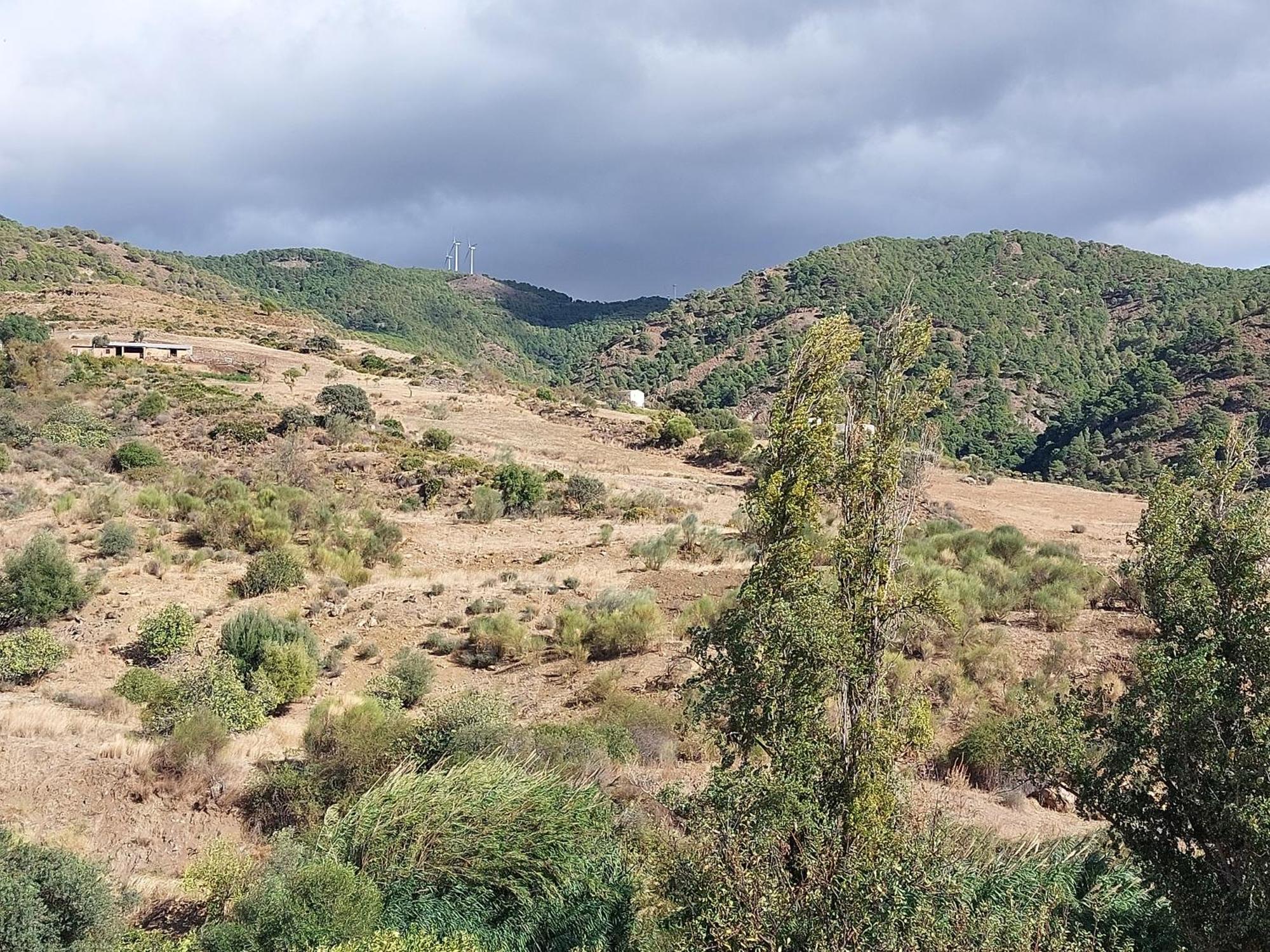 El Bufon De La Corte Carratraca ภายนอก รูปภาพ